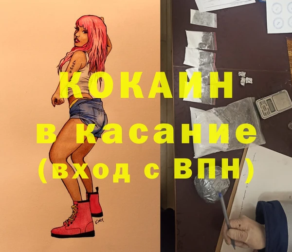 ECSTASY Алзамай